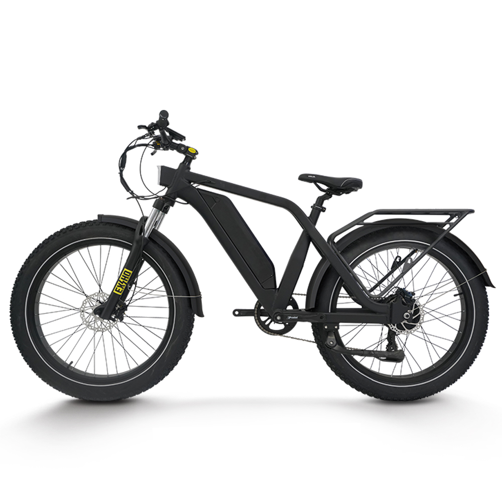 *大人用電動自転車 1500W リアハブモーター 48V 2 - 48V 1500W Rear Hub Motor With Battery のレビューと価格