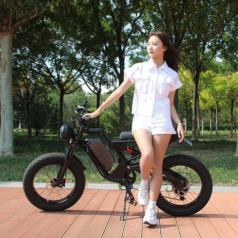 SXLL SXLL13Ahリチウムバッテリー 48V 750 - 48V 1500W Rear Hub Motor With Battery のレビューと価格