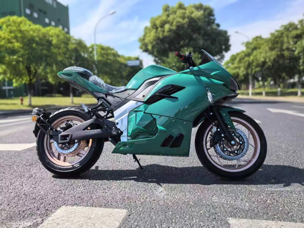 STLF ロシア法規準拠 大人用電動二輪バイク 12000W - 12000W Electric Motorcycle Hub Motor のレビューと価格